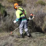 Limpeza de Terrenos – Novos Prazos para 2026